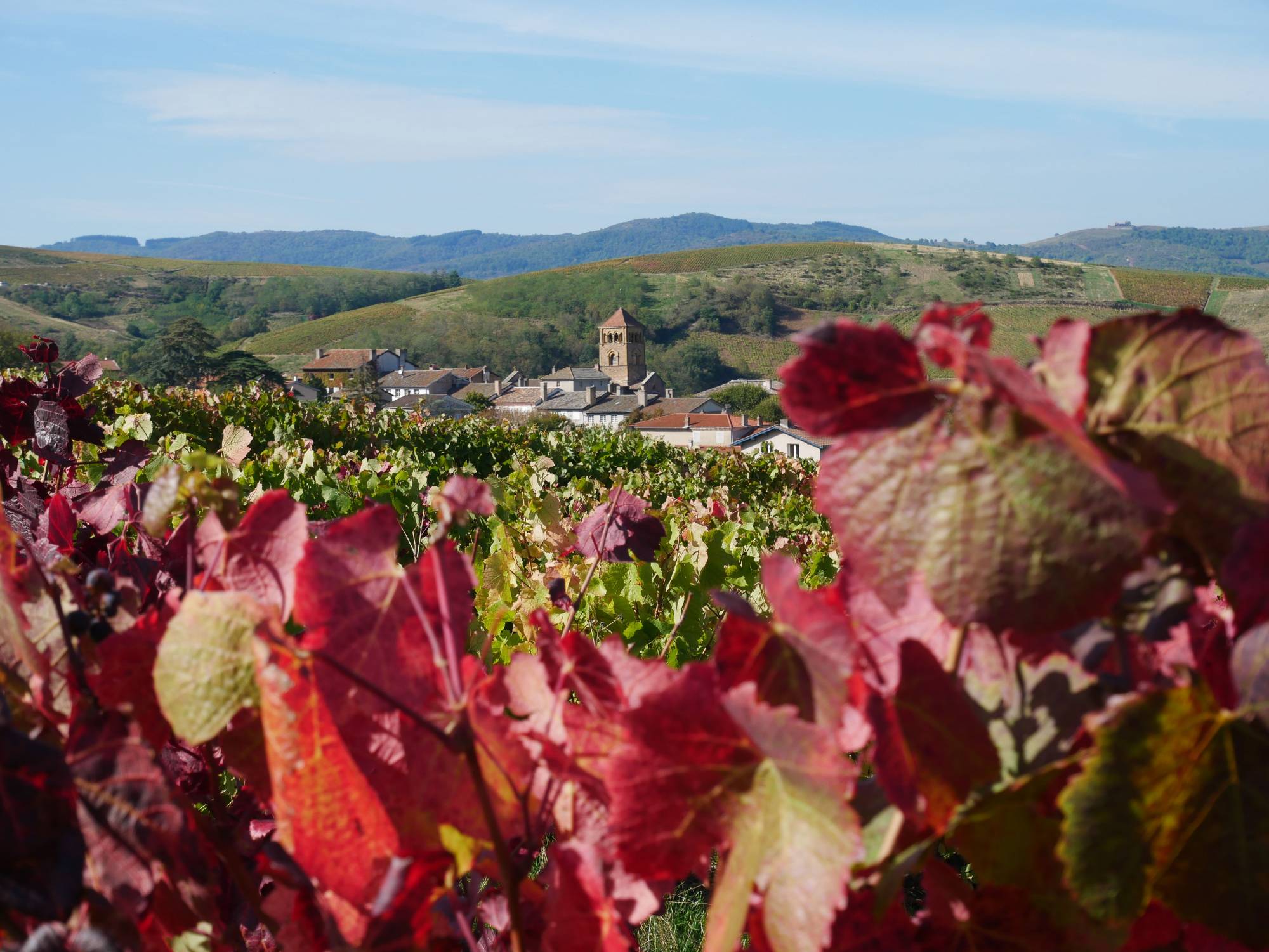 Beaujolais Geopark
